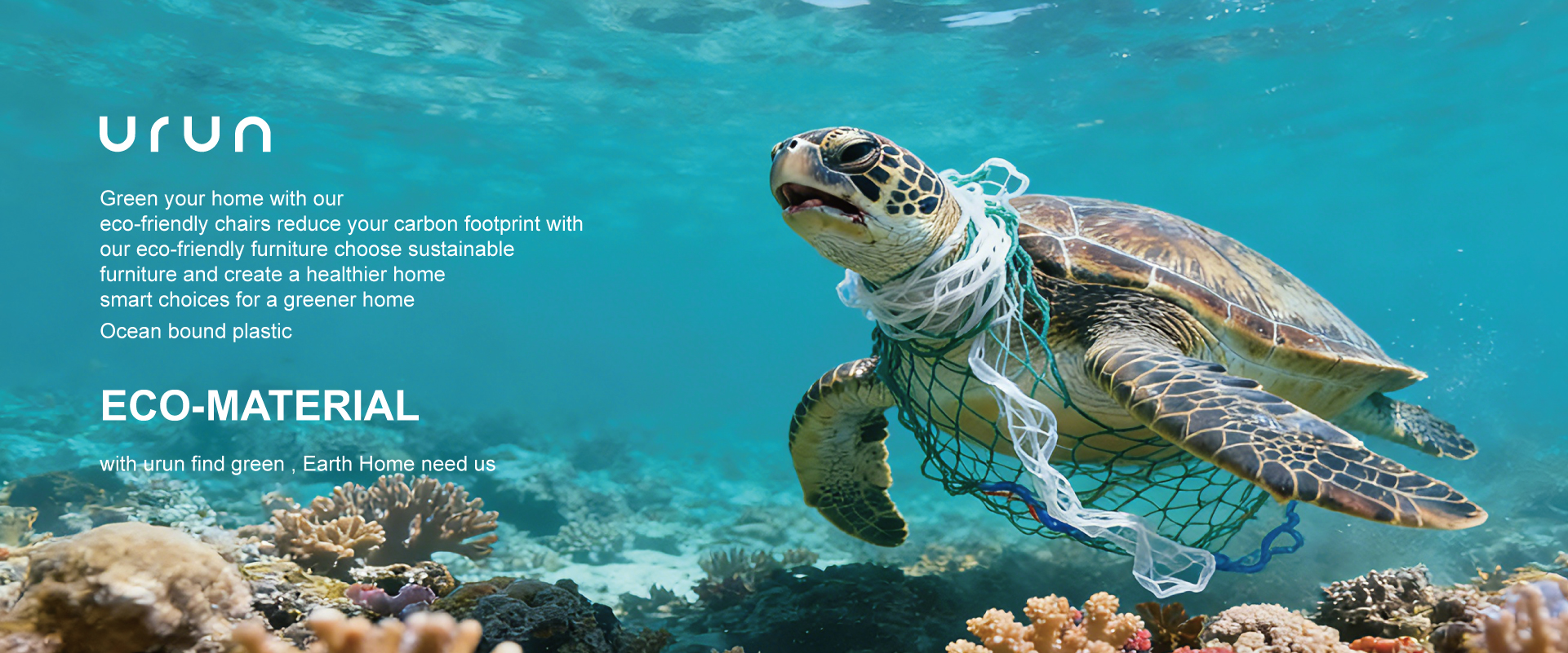 首页_画板 1 副本